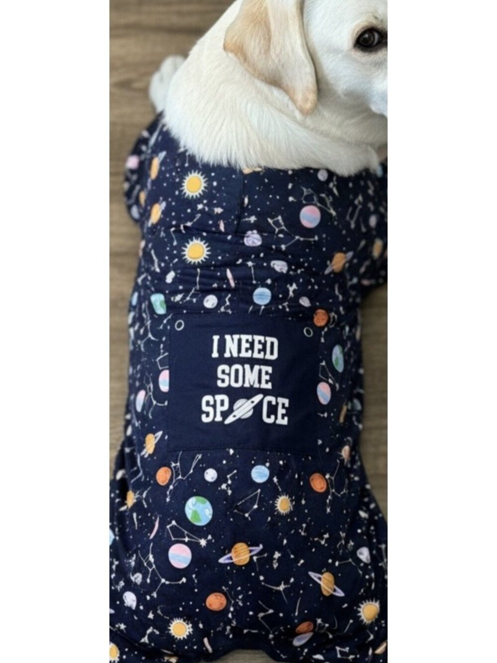 Dog Halloween Costume Glow In Dark Space Planets Constellations Earth Size Large